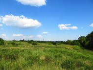 Карло-Марксове з panoramio.com