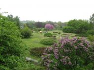 Кам'яне Поле з panoramio.com