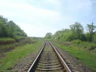 Старі Бейзими - Останні фото