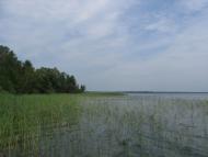 Світязь з panoramio.com