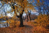 Новомосковськ з panoramio.com (ч.3)