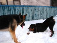 Фастів з panoramio.com (ч.2)