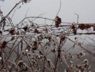 Нижнє Солотвино - Останні фото