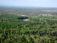 Великий Суходіл - Останні фото