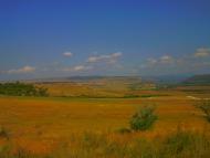 Новопавлівка з panoramio.com