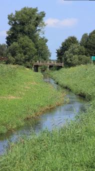 Sokolivka - Latest photos