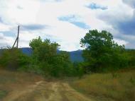 Щасливе - Останні фото