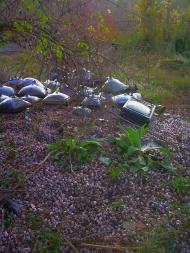 Куйбишеве з panoramio.com (ч.2)