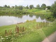 Велика Омеляна з panoramio.com