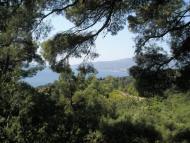 Нікіта з panoramio.com (ч.2)