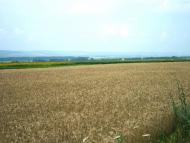 Ванчиківці - Останні фото