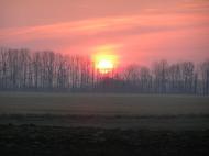 Сінгури з panoramio.com