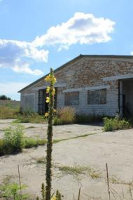 Демидів з panoramio.com