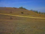 Шевченкове - Останні фото