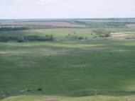 Новопавлівка - Останні фото