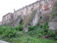 Требухівці з panoramio.com