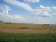 Хорішки з panoramio.com