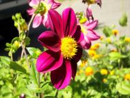 Квасилів - Останні фото