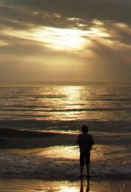 Озерівка - Останні фото