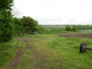 Рижавка з panoramio.com