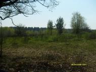 Гута-Зеленицька з panoramio.com