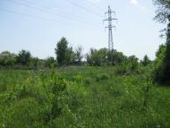 Дмитрівка - Останні фото