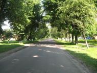 Велика Омеляна з panoramio.com