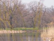 Сєверодонецьк з panoramio.com (ч.3)