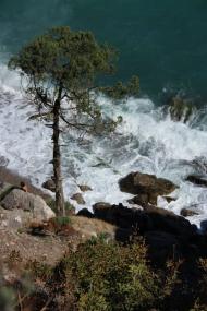 Сімеїз з panoramio.com (ч.2)