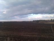 Корсунь-Шевченківський з panoramio.com