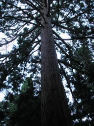 Нікіта з panoramio.com (ч.2)