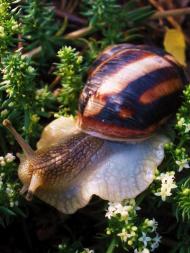 Шкільне з panoramio.com