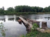 Luchynchyk - Latest photos