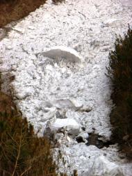 Осмолода з panoramio.com (ч.2)