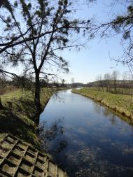 Рокитниця з panoramio.com