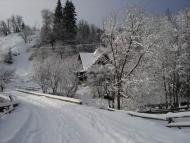 Бистриця з panoramio.com