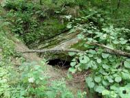 Чернеччина з panoramio.com