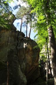 Поляниця з panoramio.com