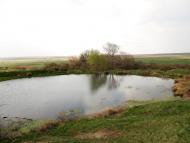 Логвинове з panoramio.com