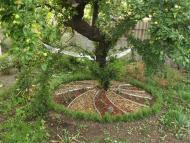 Сімеїз з panoramio.com (ч.2)