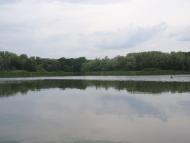 Кияшки з panoramio.com