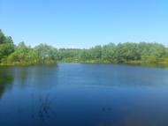 Количівка з panoramio.com