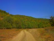 Синапне з panoramio.com