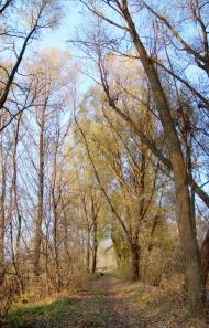 Косарі з panoramio.com (ч.2)