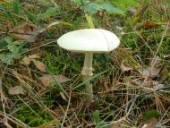 Славута - Останні фото