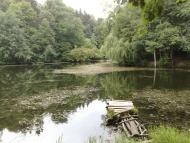 Тростянець з panoramio.com