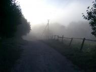 Вільгір з panoramio.com