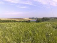 Махаринці - Останні фото