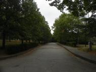 Научний з panoramio.com