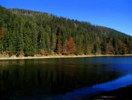 Синевирська Поляна з panoramio.com